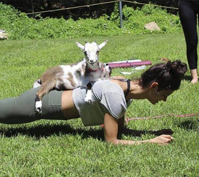 Daily Pictures. Part 1 (66 pics)