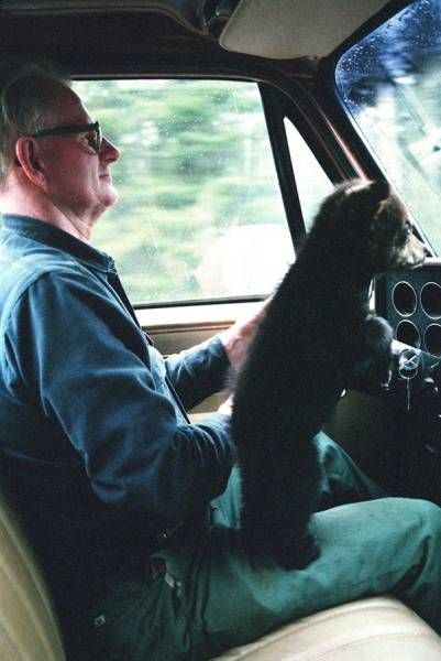 Daily Pictures. Part 1 (66 pics)