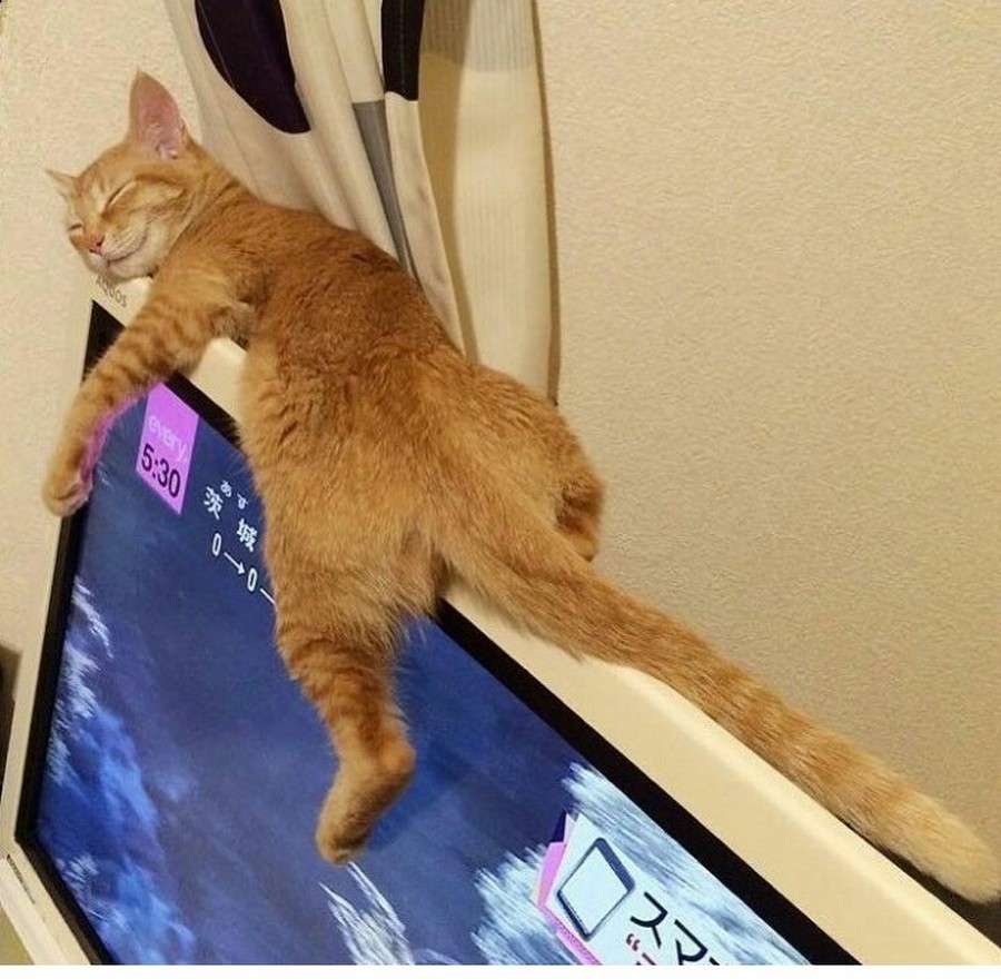 Daily Pictures. Part 1 (66 pics)