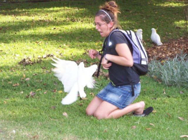 Daily Pictures. Part 1 (66 pics)