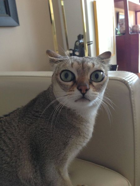 Daily Pictures. Part 2 (65 pics) Daily Pictures. Part 2 (65 pics)