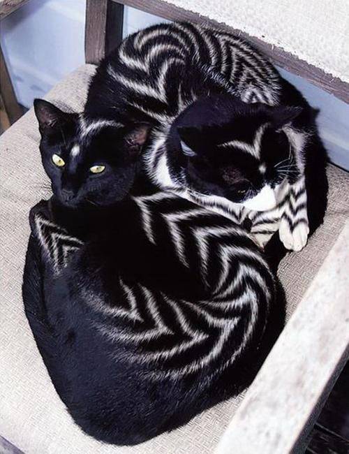 Daily Pictures. Part 1 (66 pics)