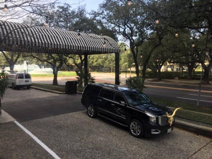 Daily Pictures. Part 1 (66 pics)