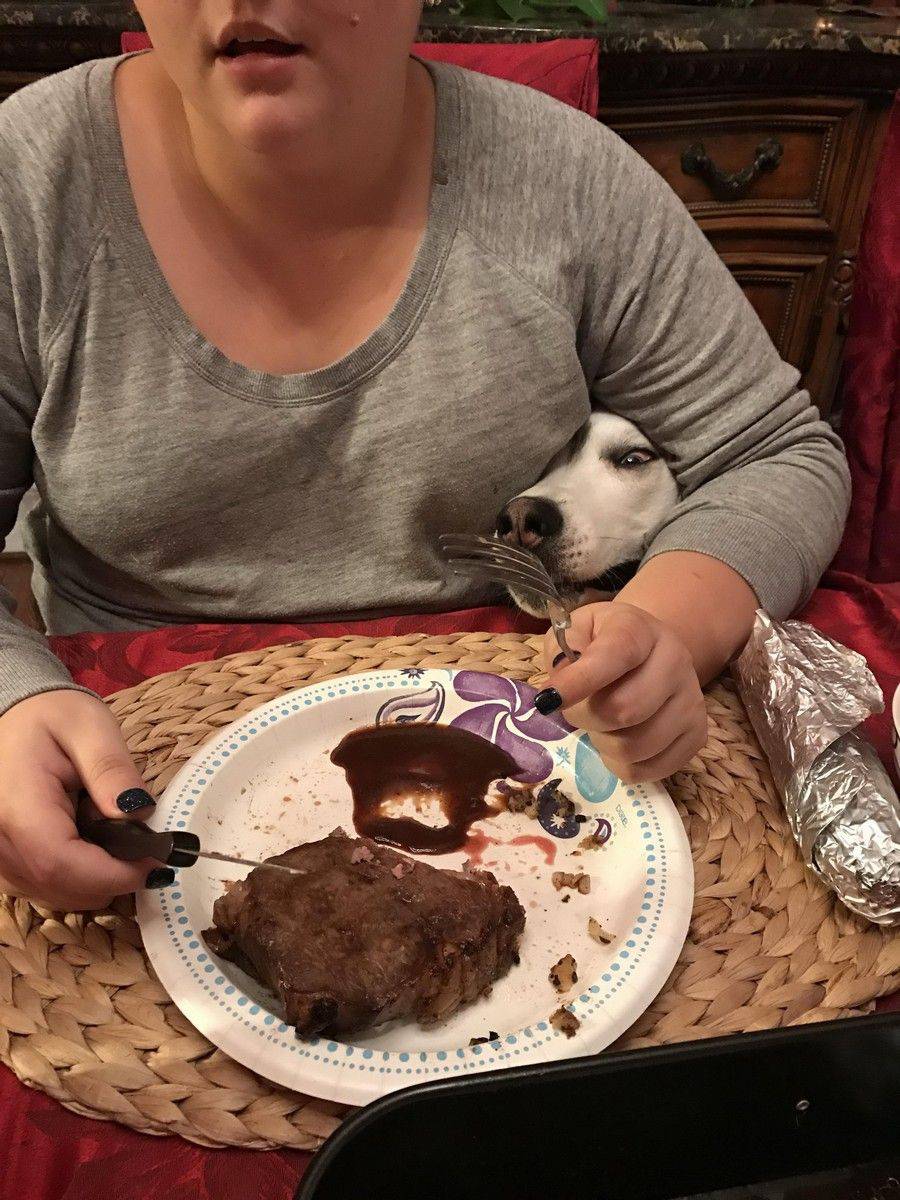 Daily Pictures. Part 1 (66 pics)