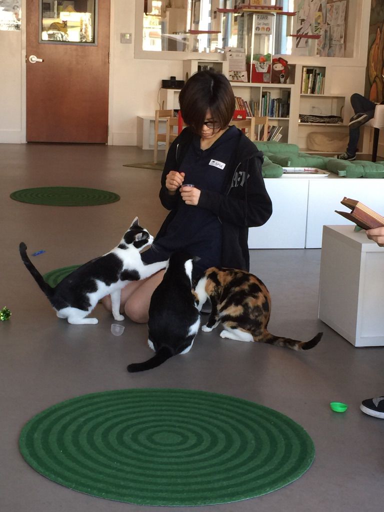 Daily Pictures. Part 1 (66 pics)