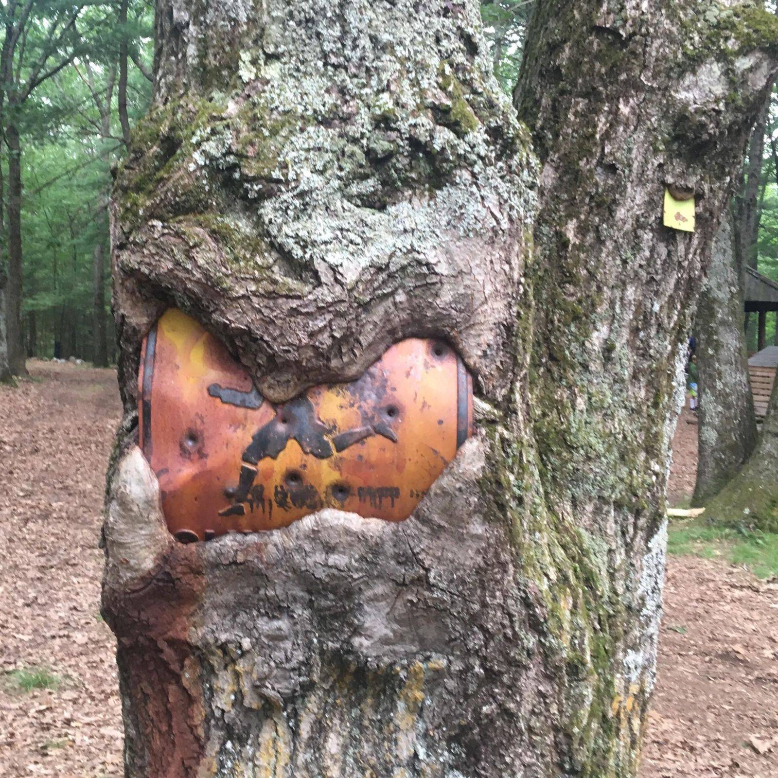 Daily Pictures. Part 2 (65 pics) Daily Pictures. Part 2 (65 pics)