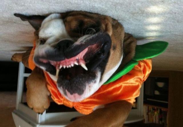 Daily Pictures. Part 2 (65 pics) Daily Pictures. Part 2 (65 pics)