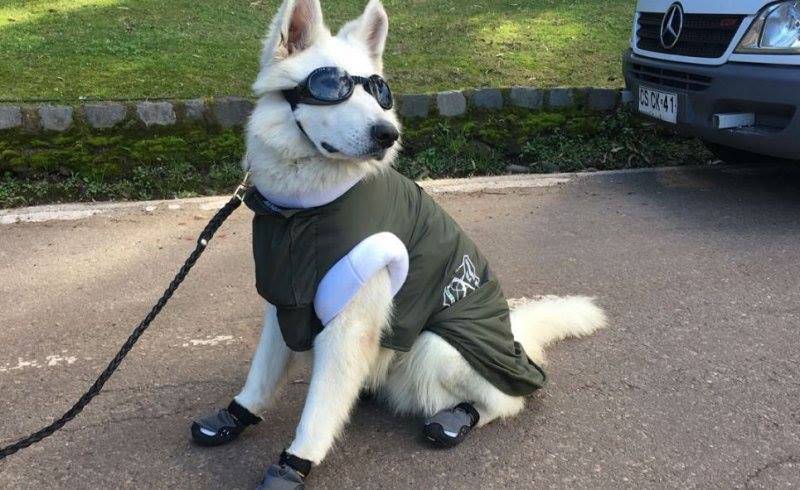 Daily Pictures. Part 2 (65 pics) Daily Pictures. Part 2 (65 pics)