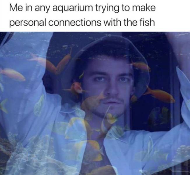 Daily Pictures. Part 2 (65 pics) Daily Pictures. Part 2 (65 pics)