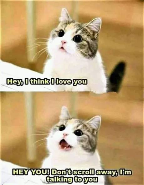 Daily Pictures. Part 2 (65 pics) Daily Pictures. Part 2 (65 pics)