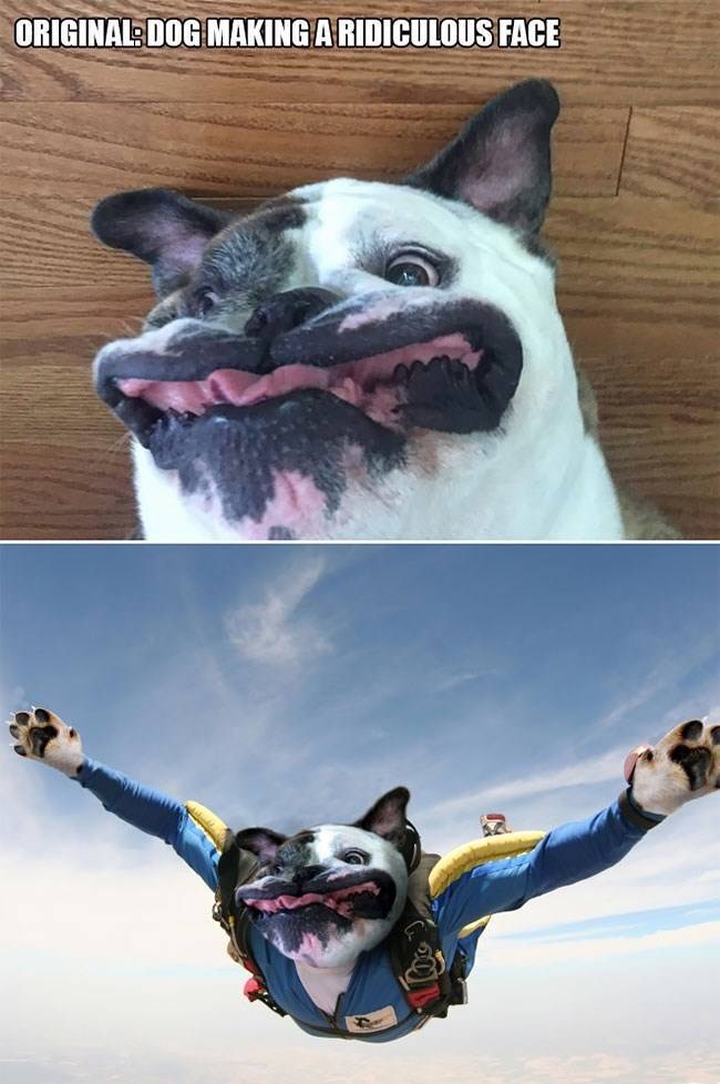 Daily Pictures. Part 2 (65 pics) Daily Pictures. Part 2 (65 pics)