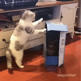 Acid GIFs, February 6 (25 gifs) Acid GIFs, February 6 (25 gifs)