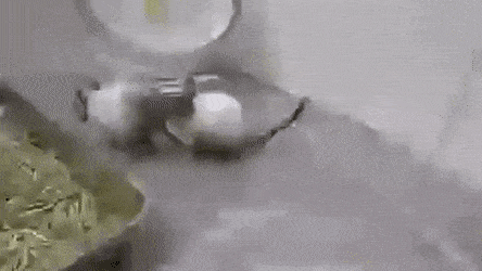 Acid GIFs, February 6 (25 gifs) Acid GIFs, February 6 (25 gifs)