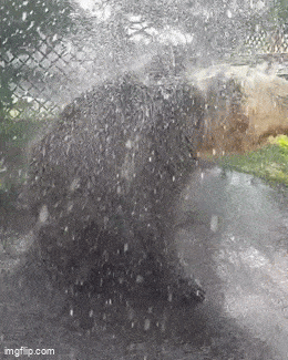 Acid GIFs, February 6 (25 gifs) Acid GIFs, February 6 (25 gifs)