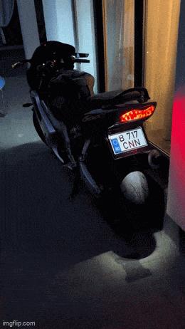 Acid GIFs, February 6 (25 gifs) Acid GIFs, February 6 (25 gifs)