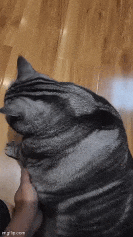 Acid GIFs, February 6 (25 gifs) Acid GIFs, February 6 (25 gifs)