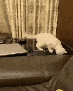 Acid GIFs, February 6 (25 gifs) Acid GIFs, February 6 (25 gifs)