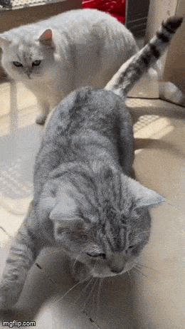 Acid GIFs, February 6 (25 gifs) Acid GIFs, February 6 (25 gifs)