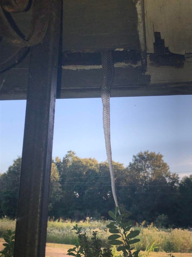 Unfortunate Situations (21 pics) Unfortunate Situations (21 pics)