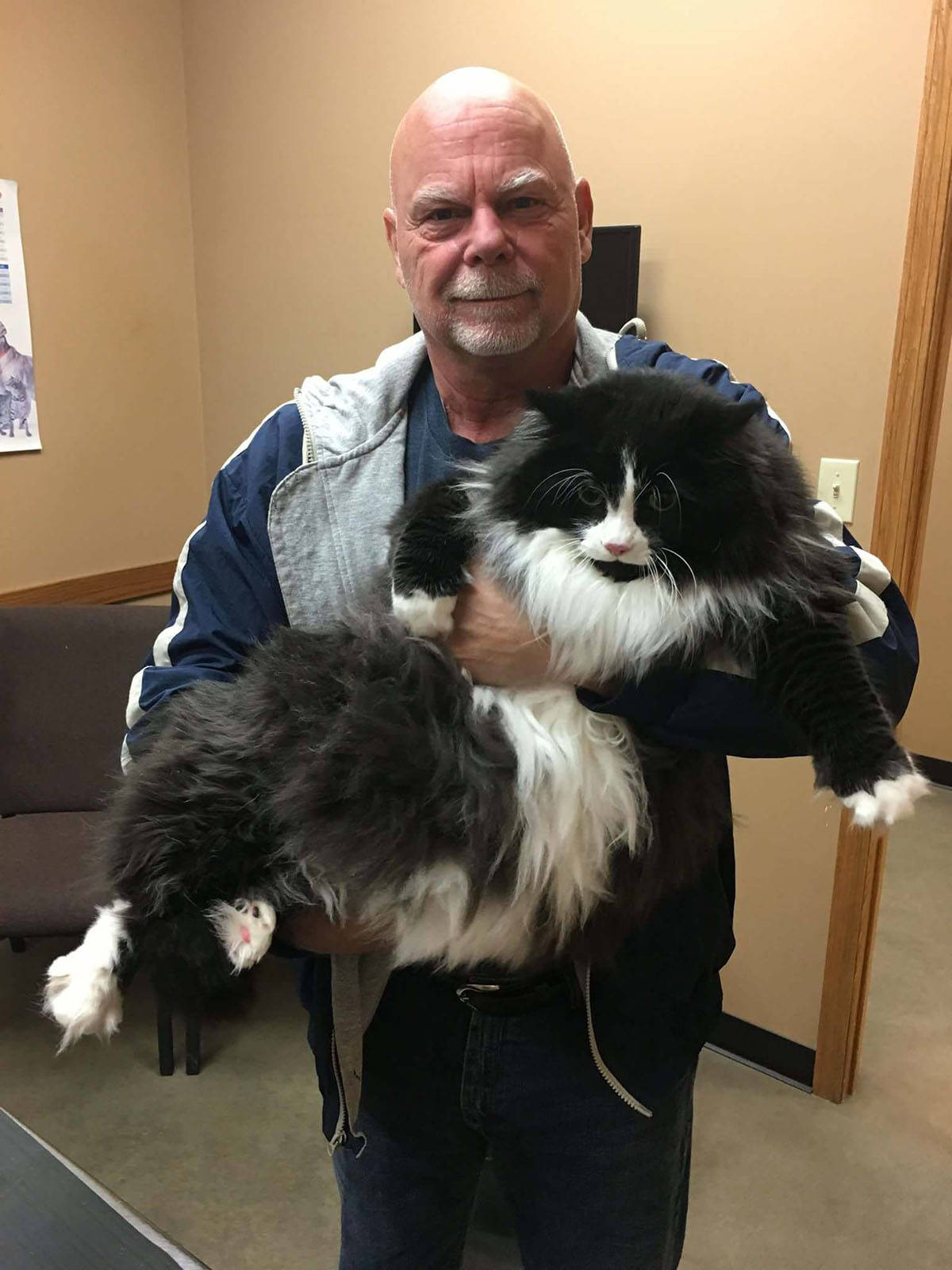 Daily Pictures. Part 1 (67 pics) Daily Pictures. Part 1 (67 pics)