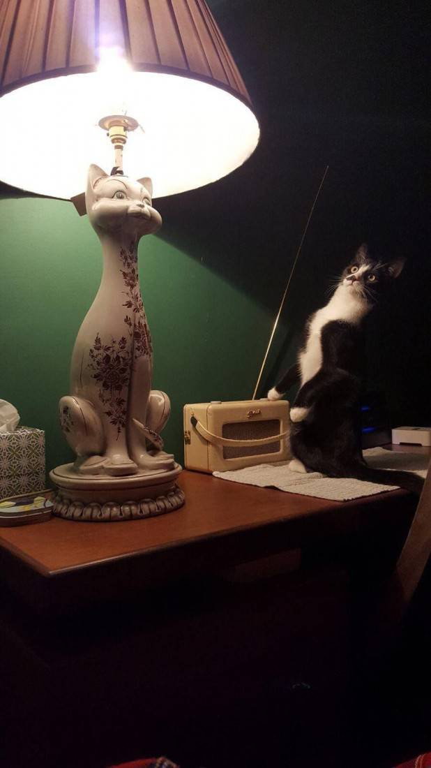 Daily Pictures. Part 1 (67 pics) Daily Pictures. Part 1 (67 pics)