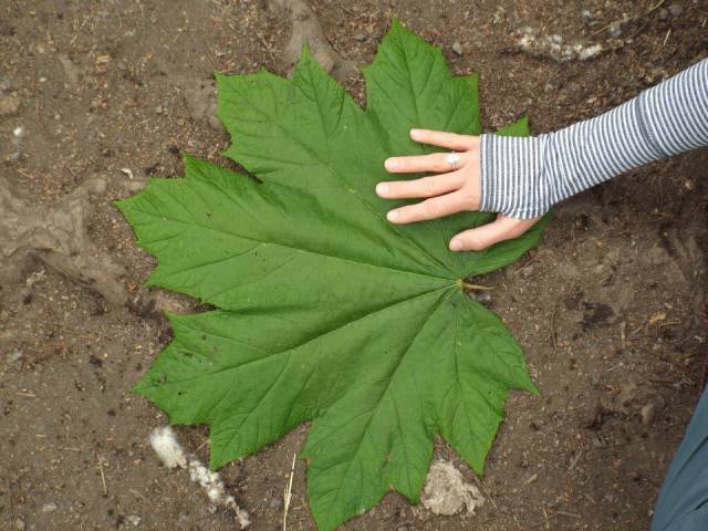 Daily Pictures. Part 1 (67 pics) Daily Pictures. Part 1 (67 pics)