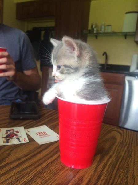 Daily Pictures. Part 1 (67 pics) Daily Pictures. Part 1 (67 pics)