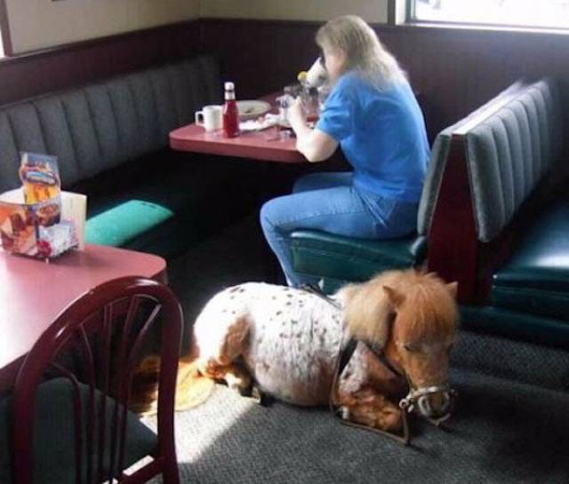 Daily Pictures. Part 1 (67 pics) Daily Pictures. Part 1 (67 pics)