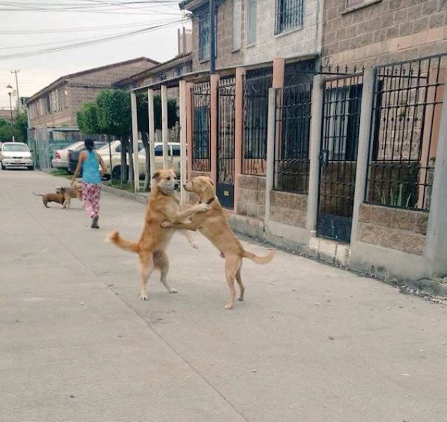 Daily Pictures. Part 1 (67 pics) Daily Pictures. Part 1 (67 pics)