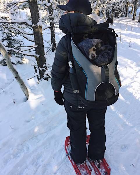 Daily Pictures. Part 1 (67 pics) Daily Pictures. Part 1 (67 pics)