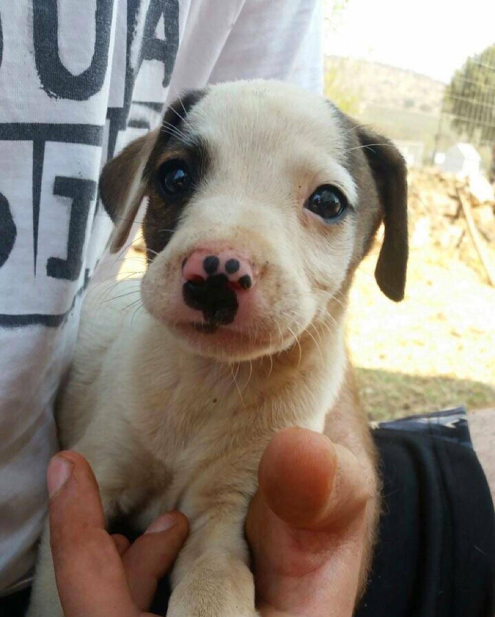 Daily Pictures. Part 1 (67 pics) Daily Pictures. Part 1 (67 pics)