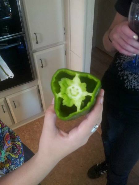 Daily Pictures. Part 1 (67 pics) Daily Pictures. Part 1 (67 pics)