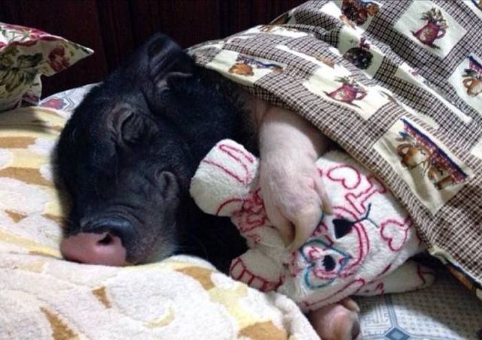 Daily Pictures. Part 1 (67 pics) Daily Pictures. Part 1 (67 pics)