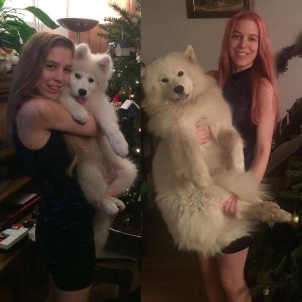 Daily Pictures. Part 1 (67 pics) Daily Pictures. Part 1 (67 pics)