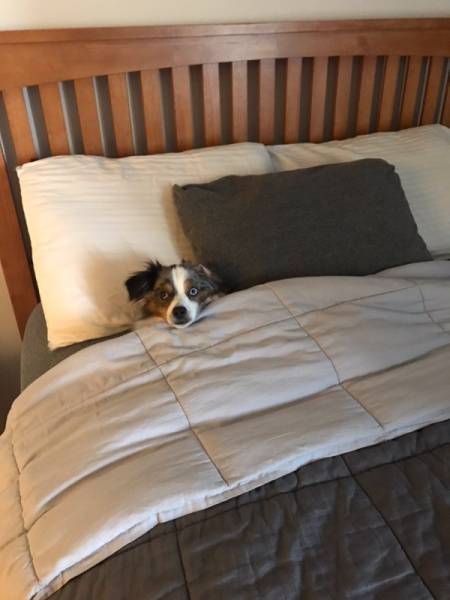 Daily Pictures. Part 2 (66 pics) Daily Pictures. Part 2 (66 pics)