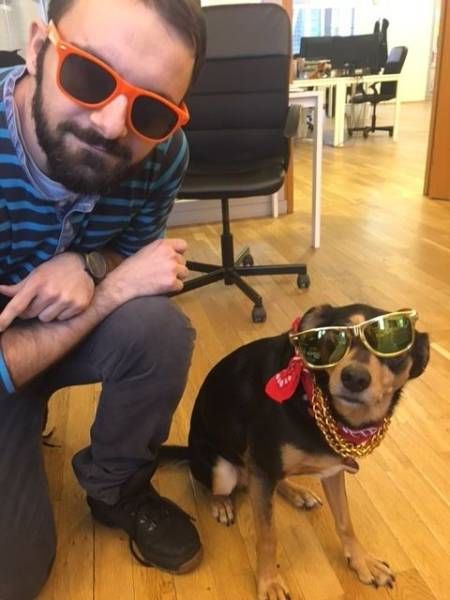 Daily Pictures. Part 2 (66 pics) Daily Pictures. Part 2 (66 pics)