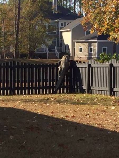 Daily Pictures. Part 1 (67 pics) Daily Pictures. Part 1 (67 pics)