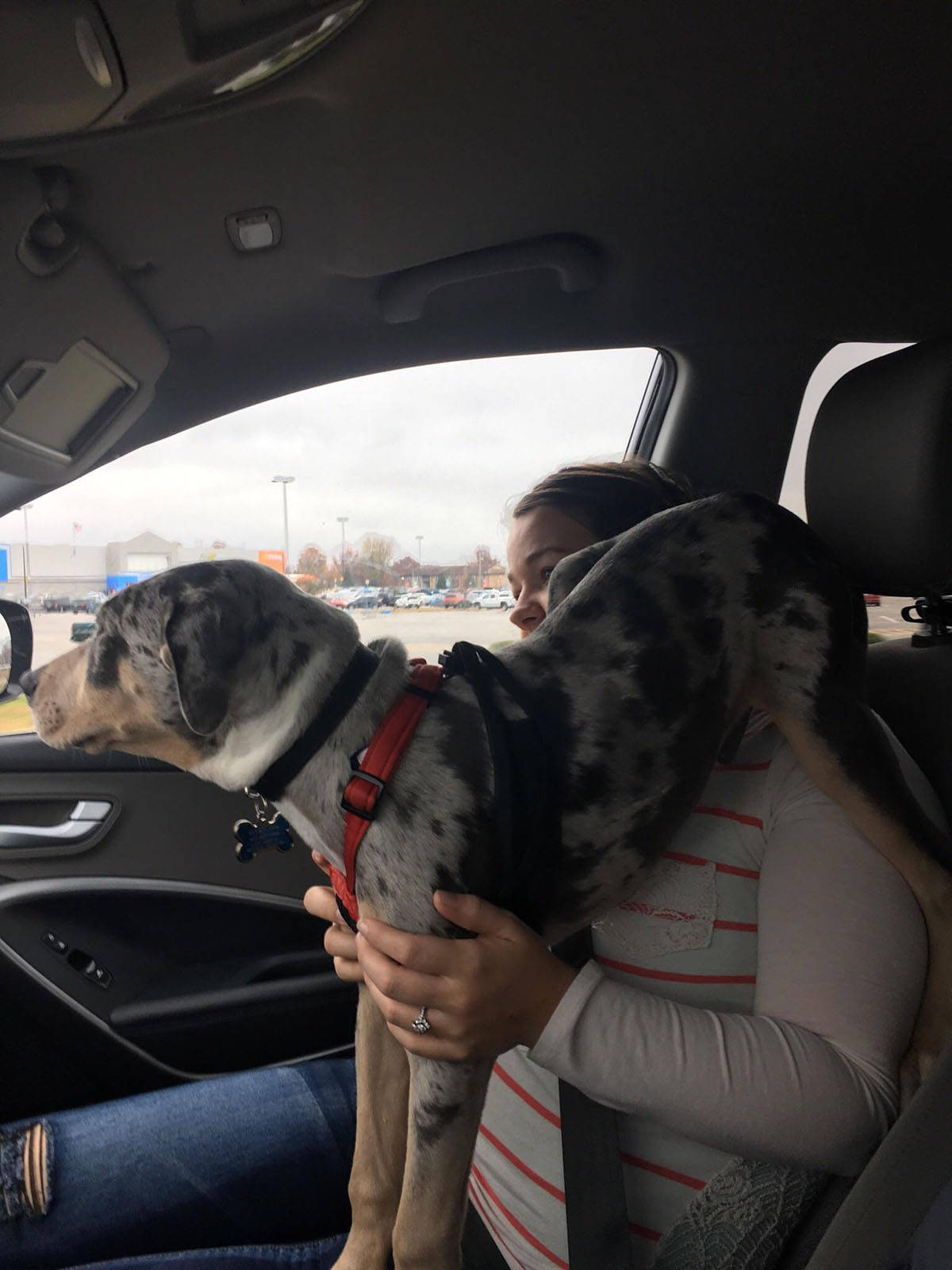 Daily Pictures. Part 2 (66 pics) Daily Pictures. Part 2 (66 pics)