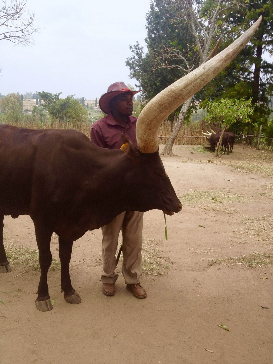 Daily Pictures. Part 2 (66 pics) Daily Pictures. Part 2 (66 pics)