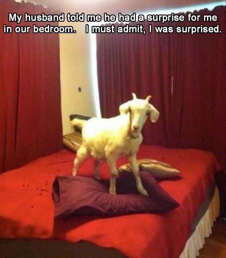 Daily Pictures. Part 2 (66 pics) Daily Pictures. Part 2 (66 pics)