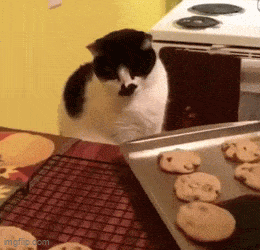 Acid GIFs, February 9 (25 gifs) Acid GIFs, February 9 (25 gifs)