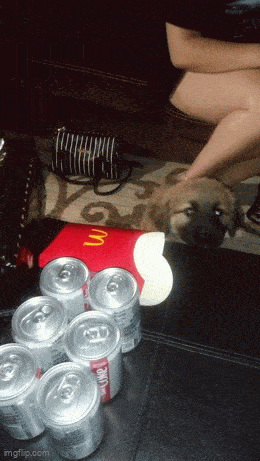 Acid GIFs, February 9 (25 gifs) Acid GIFs, February 9 (25 gifs)