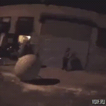 Acid GIFs, February 9 (25 gifs) Acid GIFs, February 9 (25 gifs)