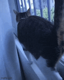 Acid GIFs, February 9 (25 gifs) Acid GIFs, February 9 (25 gifs)