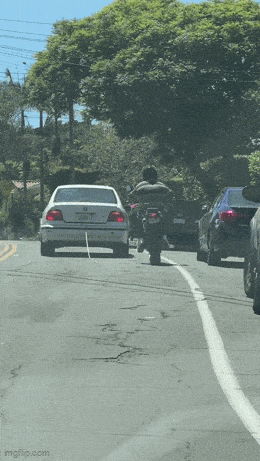 Acid GIFs, February 9 (25 gifs) Acid GIFs, February 9 (25 gifs)