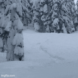 Acid GIFs, February 9 (25 gifs) Acid GIFs, February 9 (25 gifs)