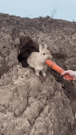 Acid GIFs, February 9 (25 gifs) Acid GIFs, February 9 (25 gifs)