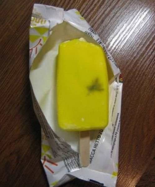 Daily Pictures. Part 1 (64 pics)