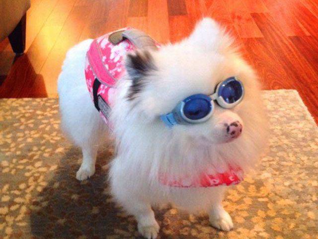 Daily Pictures. Part 1 (64 pics)