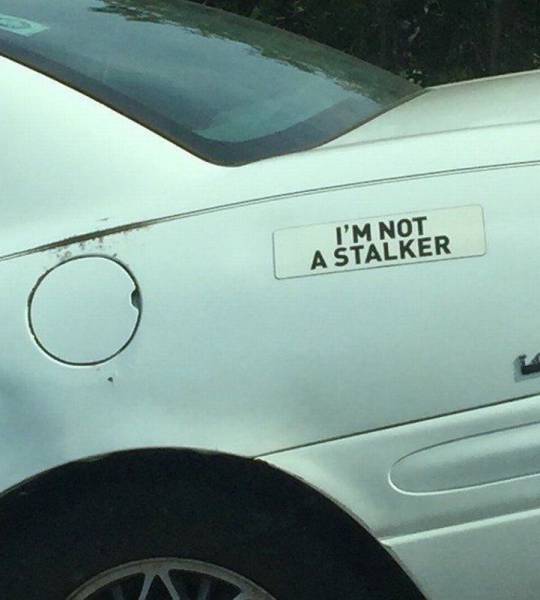 Daily Pictures. Part 1 (64 pics)